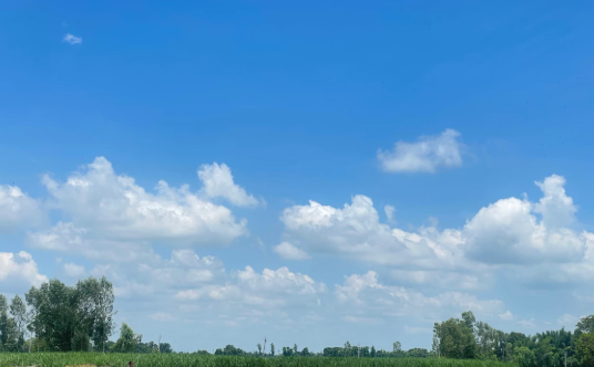 image 252