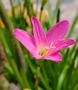image 90