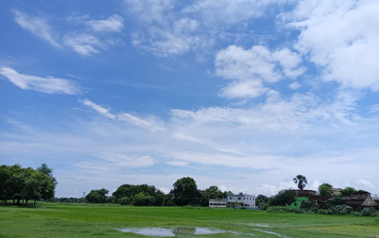 image 68