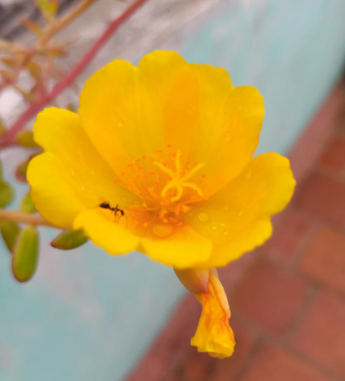 image 112