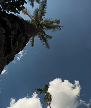 Iqoo Camera