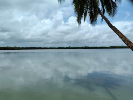 Sony mobile pic
